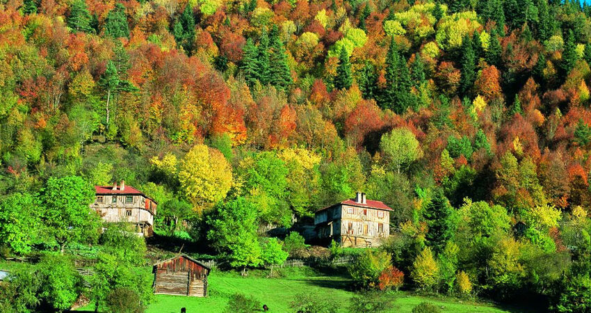 ILGAZ DAĞI VE KASTAMONU KIŞ HAFTASONU TURU