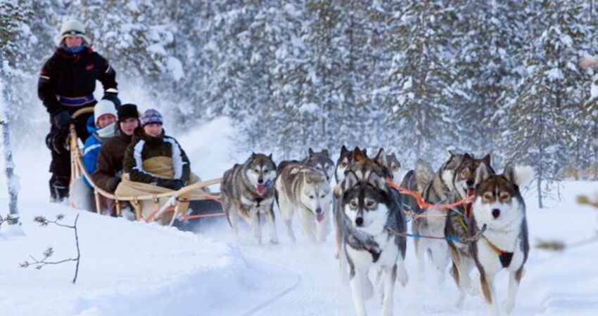 LAPLAND KUZEY IŞIKLARI GEZİSİ