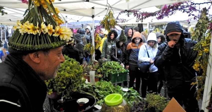 ALAÇATI OT FESTİVALİ TURU