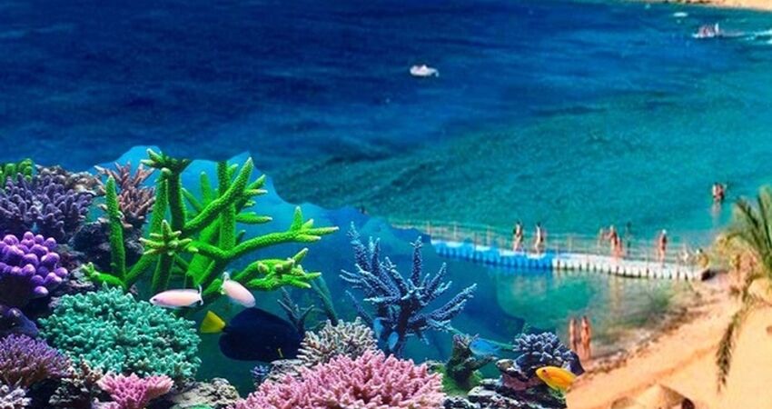 Sharm El Sheikh Turu  Pegasus Hava Yolları Tarifeli Seferi ile  4 Gece 6 Gün