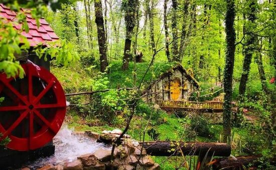  Günübirlik Sapanca Maşukiye Ormanya Turu